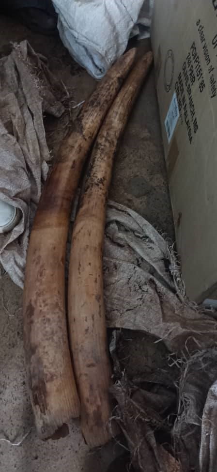 Police arrest three men in Nsanje for illegal ivory possession