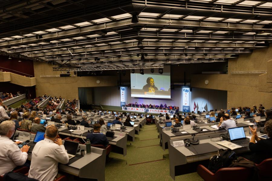 CITES to review trade sustainability and conservation progress at upcoming SC78 meeting