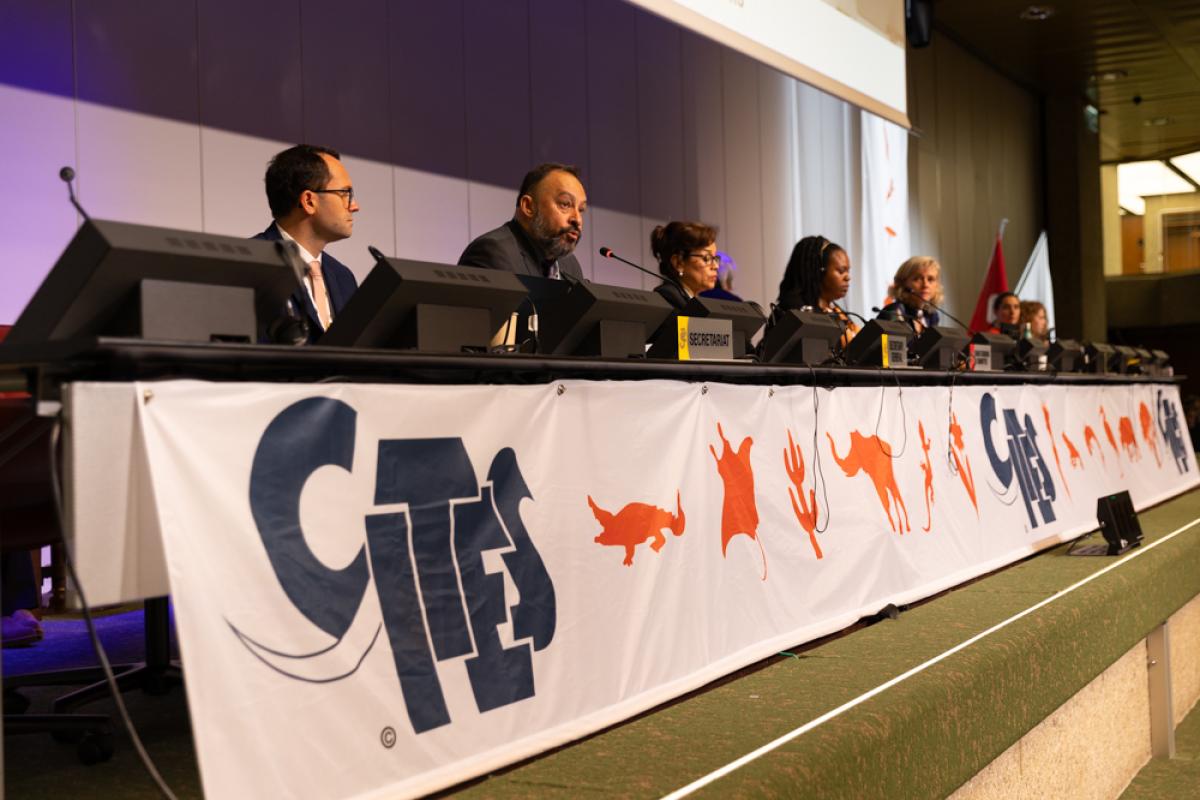 CITES to review trade sustainability and conservation progress at upcoming SC78 meeting