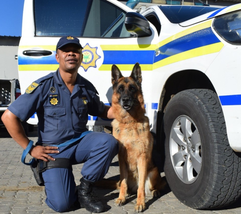 SAPS' neglect of K9 Unit crippling proactive crime-fighting