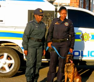 SAPS' neglect of K9 Unit crippling proactive crime-fighting