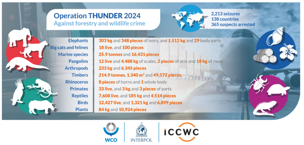 Global wildlife trafficking crackdown yields 365 arrests, rescues 20 000 animals 