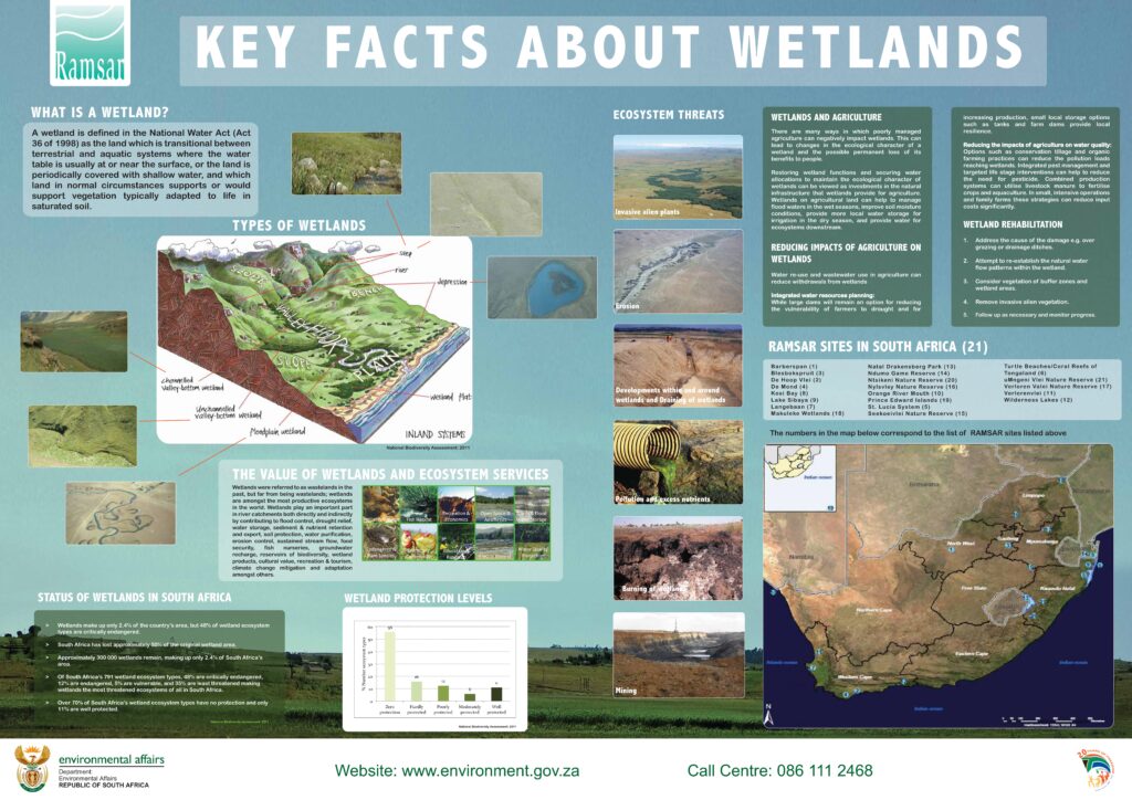 De Berg Nature Reserve designated as Ramsar site amid wetland threats