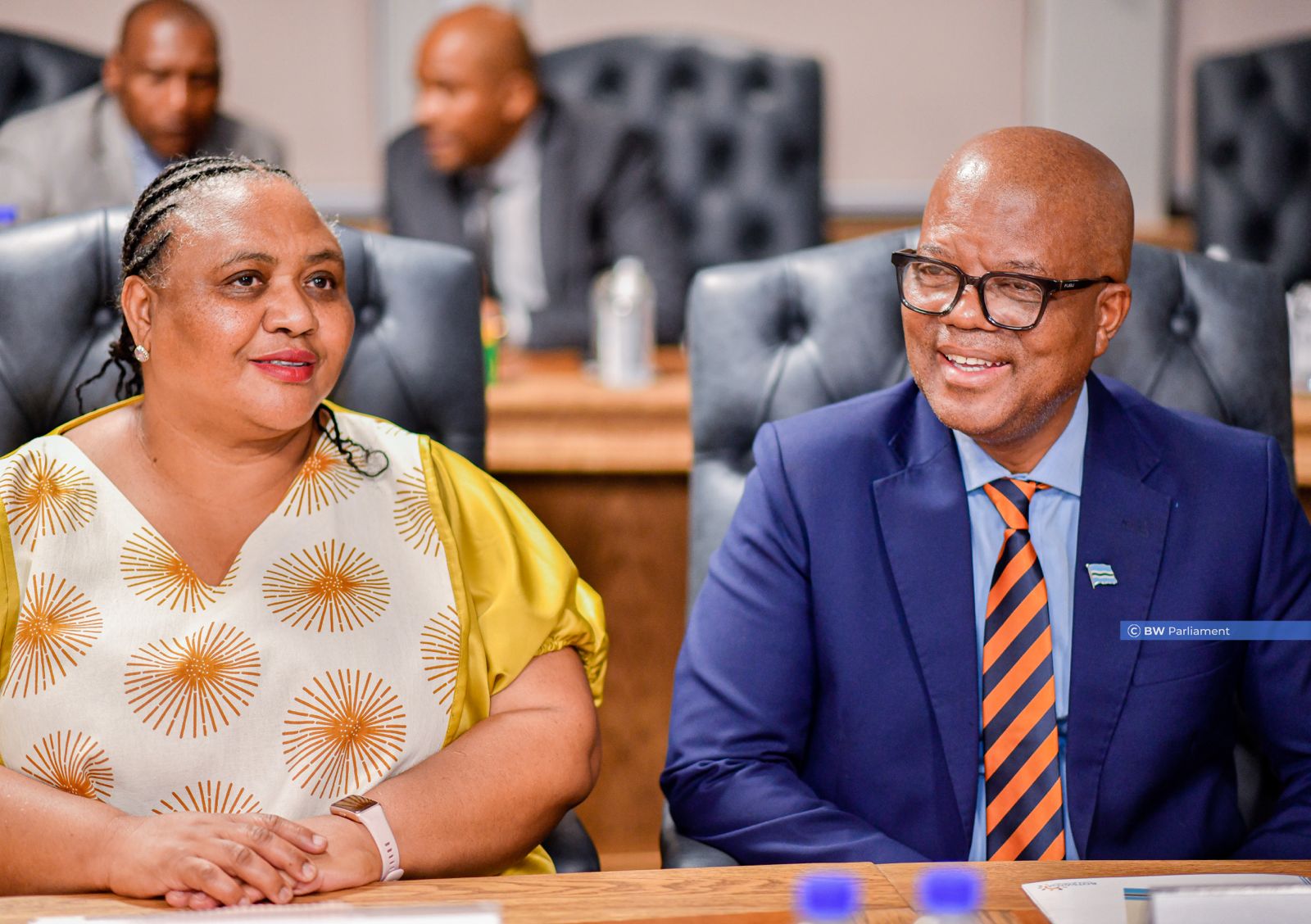 Call to embrace SADC Parliament