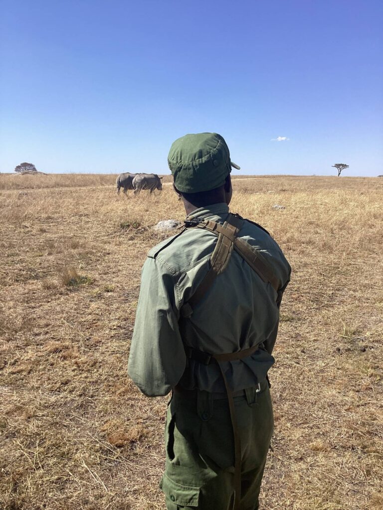 ZimParks urges halt to mining in critical rhino sanctuary