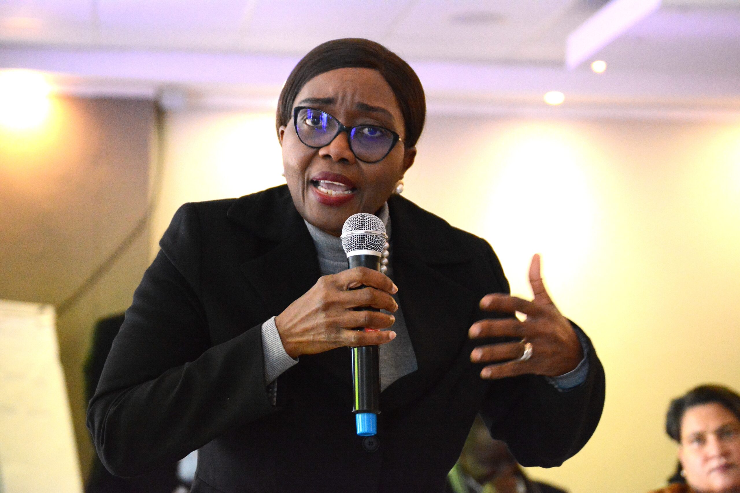 High-level women’s parliamentary roundtable to advance gender equality in politics underway